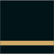 s65 Глянцевый черный / золото - Продажа полиграфического оборудования для типографий